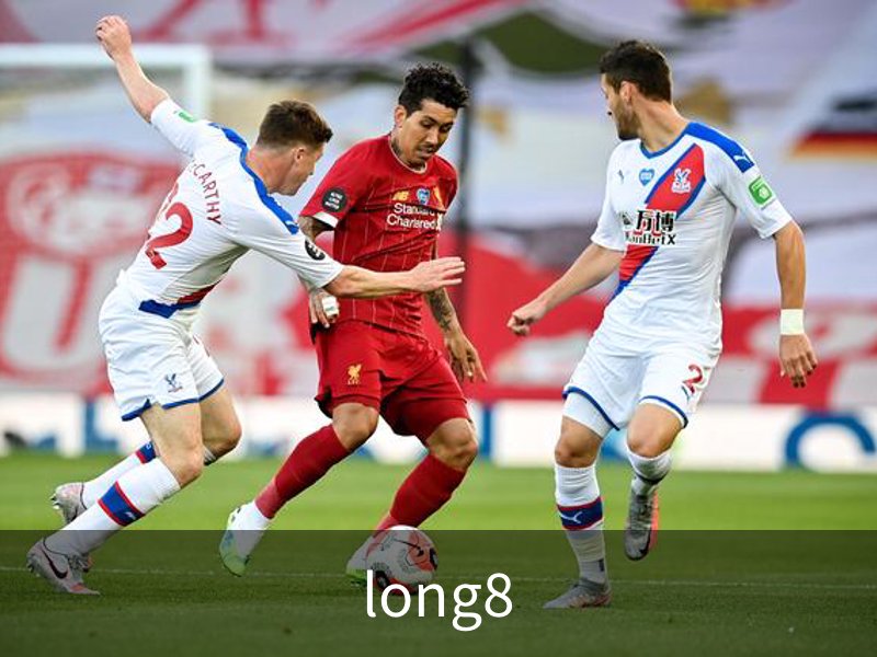long8简介